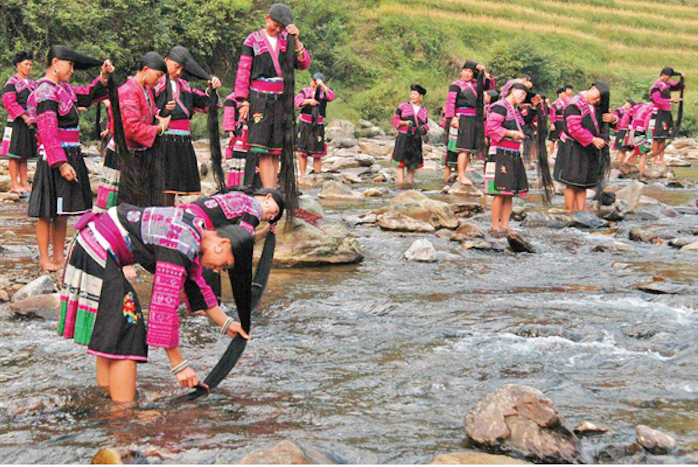 long black hair of Yao women rice water
